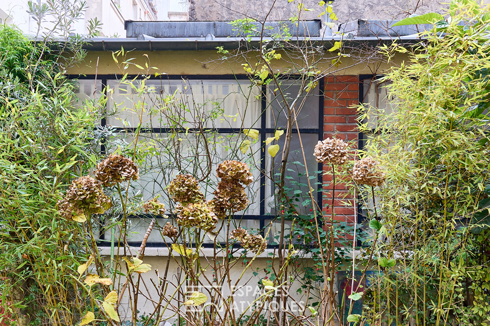 Loft atelier avec terrasse